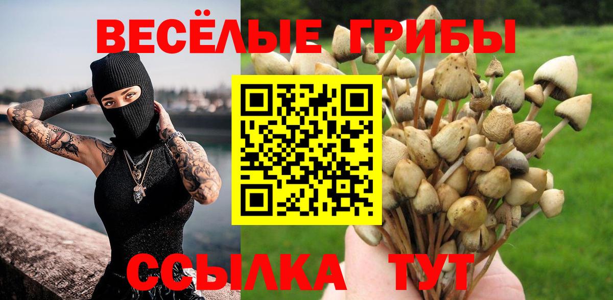 Гатчина  Галлюциногенные грибы ЛСД  Вход с VPN 