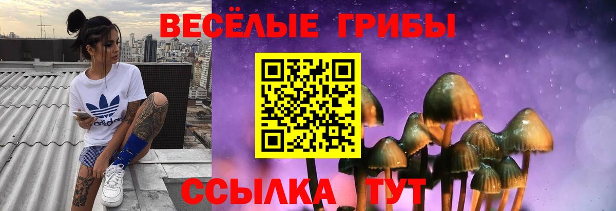 Псилоцибиновые грибы GOLDEN TEACHER Гатчина