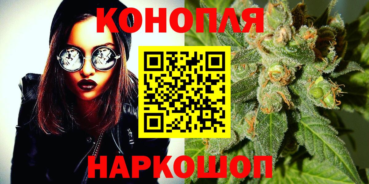 Каннабис семена  Вход с VPN  Гатчина  Марихуана Amnesia  Канабис сатива 